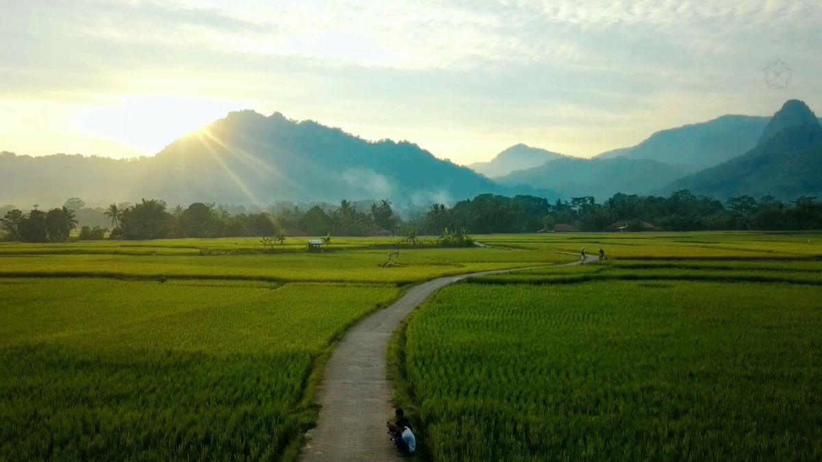 Pemandangan Desa